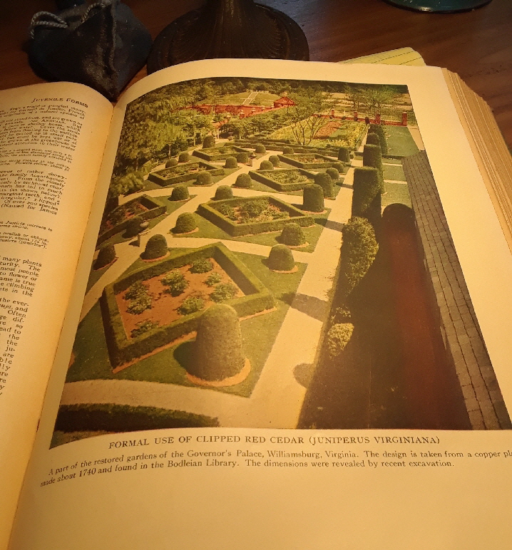 native juniper and stone native juniper and stone