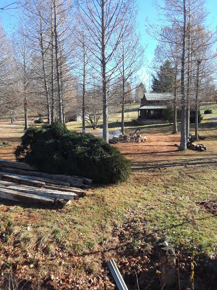 christmas1 christmas1