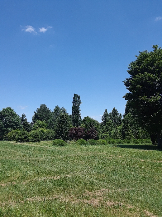 early June 22 more early June 22 more