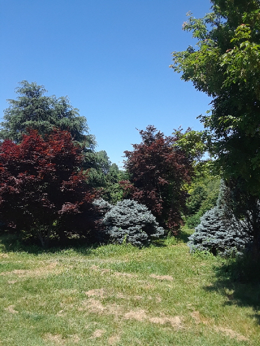 early s 22 early s 22