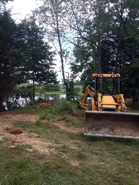 saving beech 2 saving beech 2