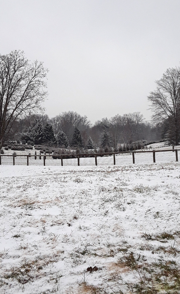 winter wonderland winter wonderland