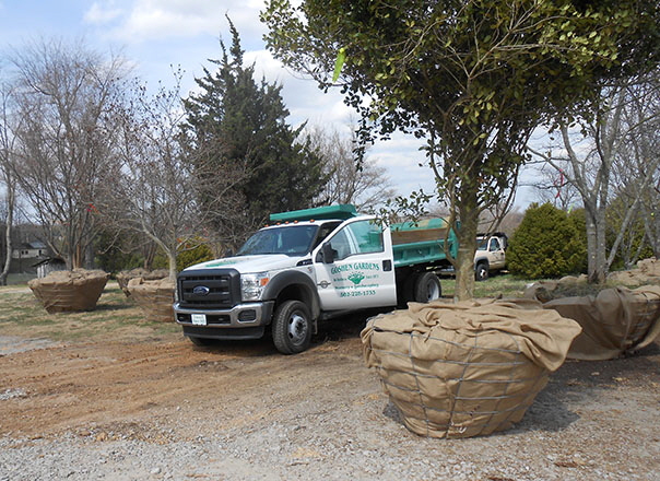 Planting 10 Planting 10