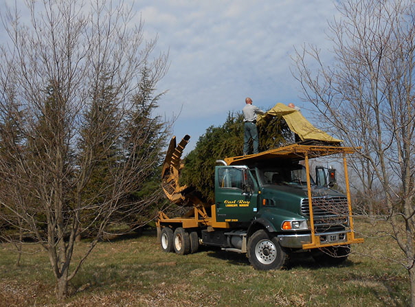 Planting DSCN0057 Planting DSCN0057