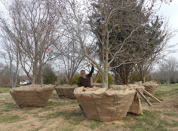 Wrapped 03 Wrapped 03