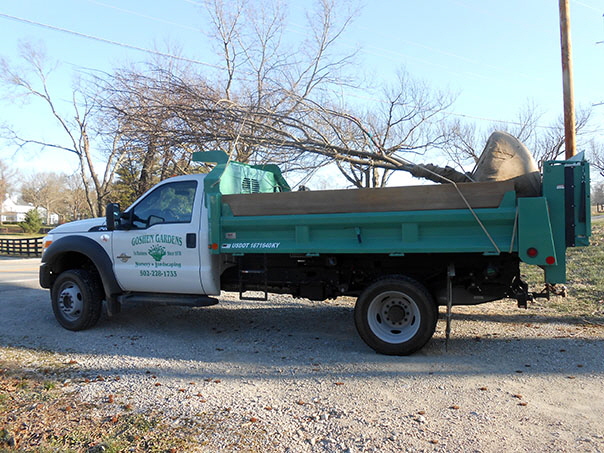 planting 061 planting 061