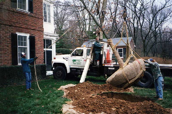 workimg011 workimg011