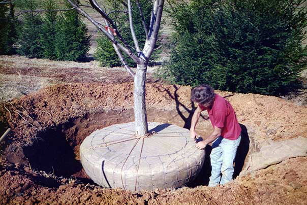 workingimg012 workingimg012