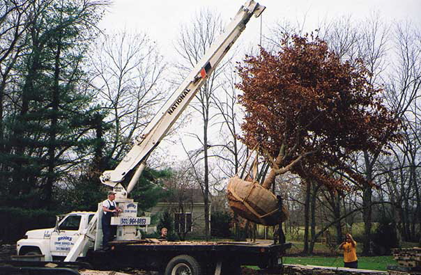 workingimg014 workingimg014