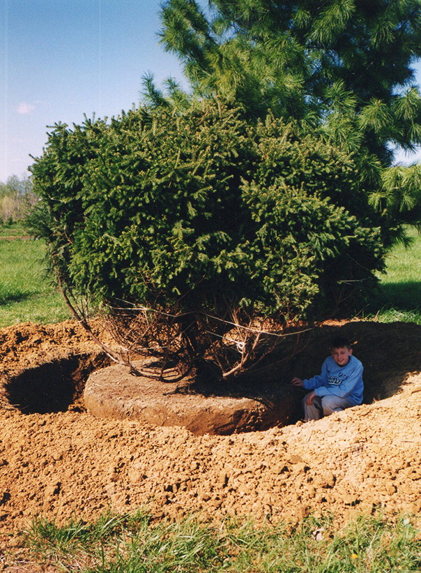 workingimg017 workingimg017